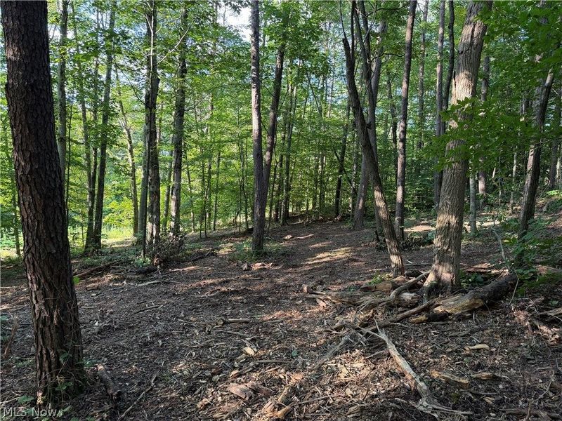 0 Fisher Ridge Rd, Tract 6 Road, Fleming, OH 45729 Photo 8