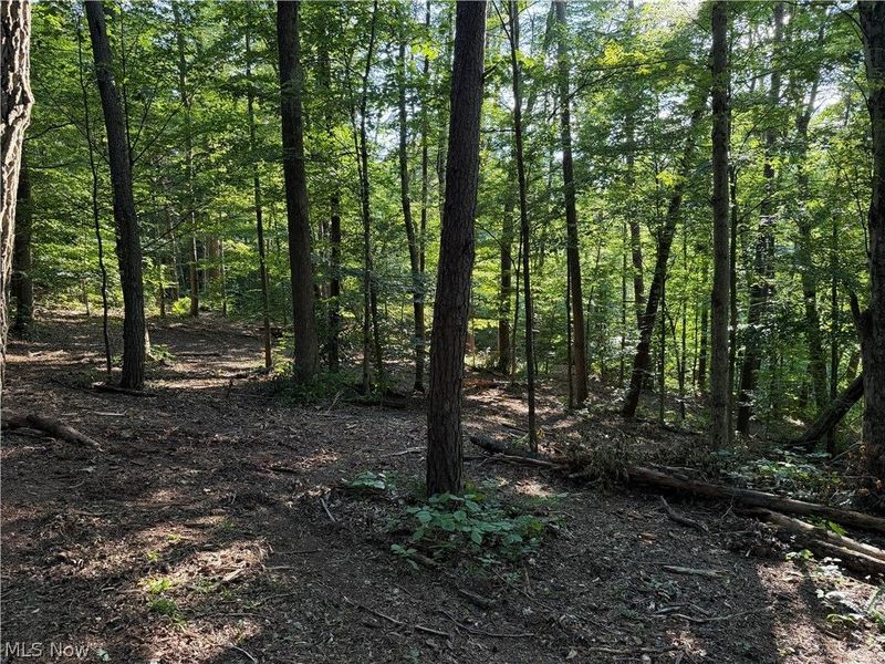 0 Fisher Ridge Rd, Tract 6 Road, Fleming, OH 45729 Photo 9