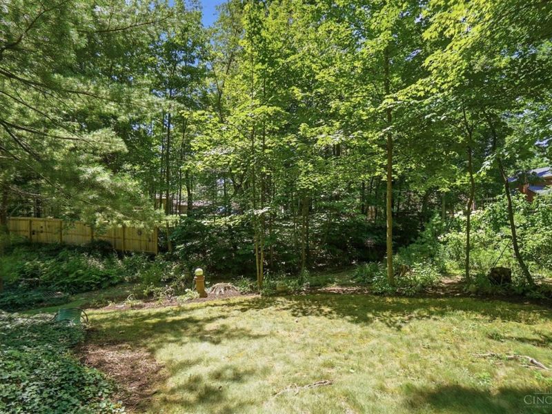 8380 Susanwoods Court, Symmes Township, OH 45249 Photo 59