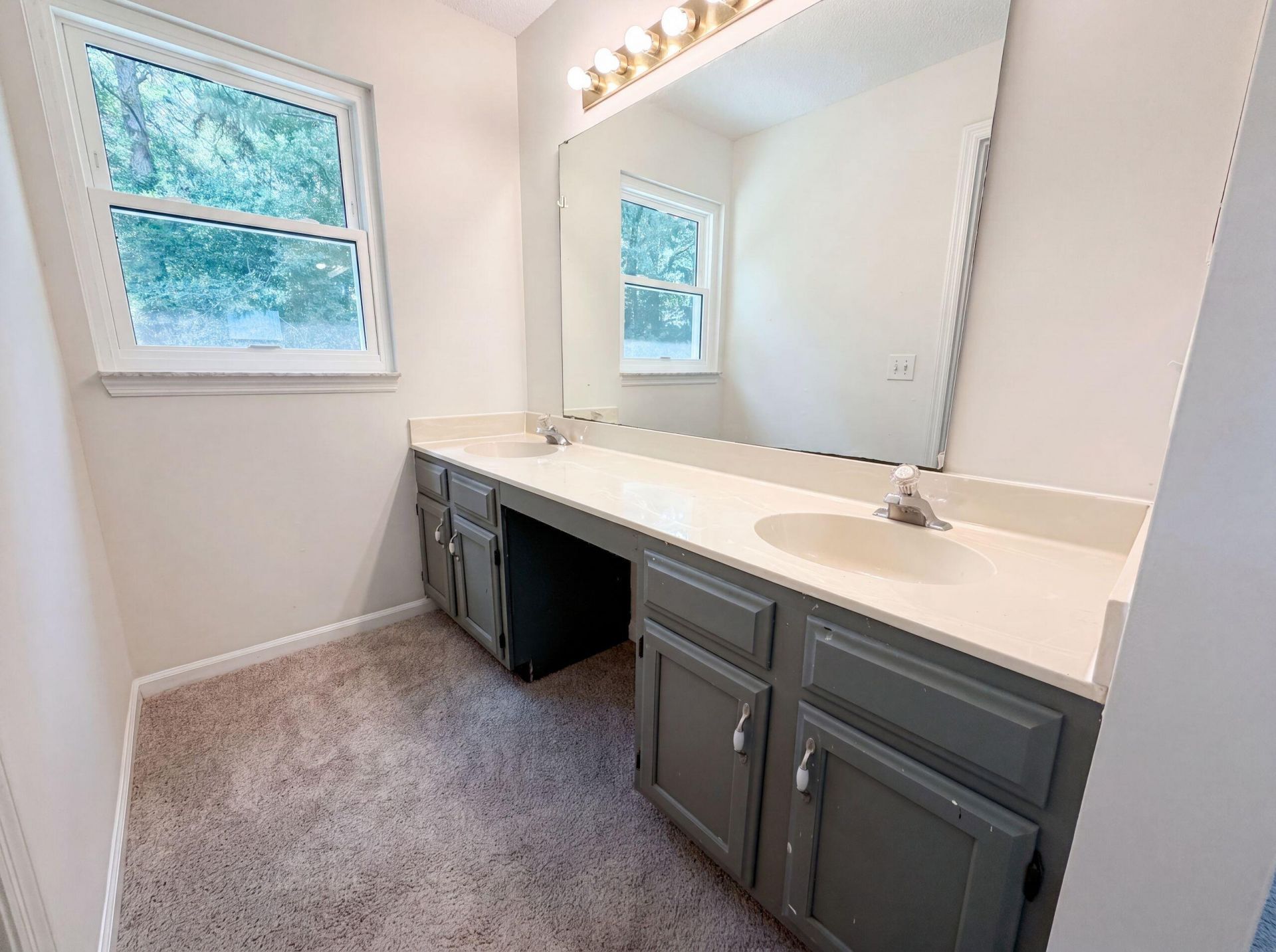 133 Danzid Drive Photo 10