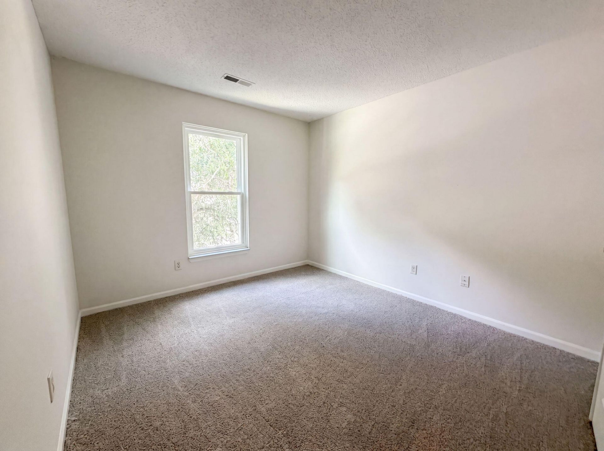 133 Danzid Drive Photo 16