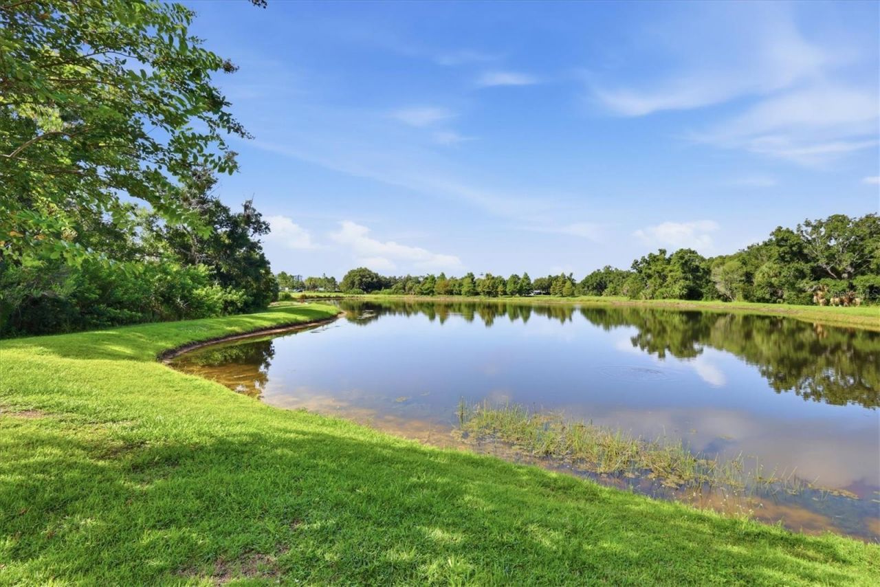 11474 Rolling Green Drive, Bradenton, FL 34211 Photo