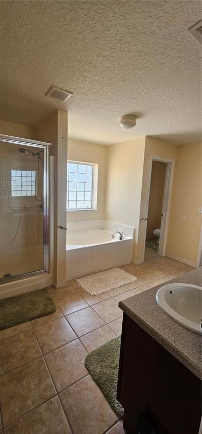 23705 Milford Drive , Eustis, FL 32736 Photo