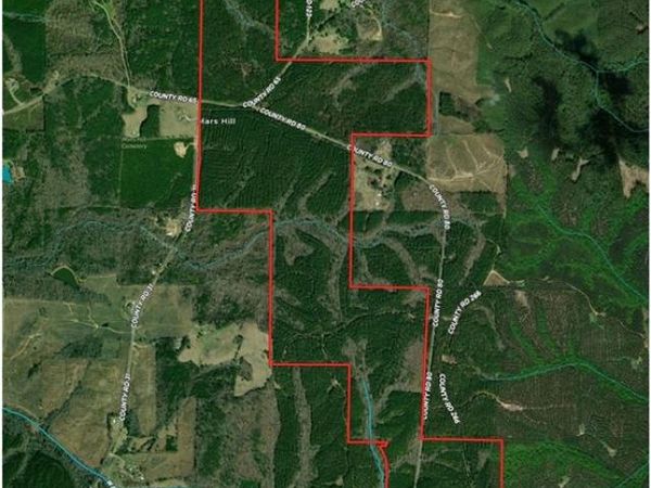 0 County Road 65 , Fruithurst, AL 36269