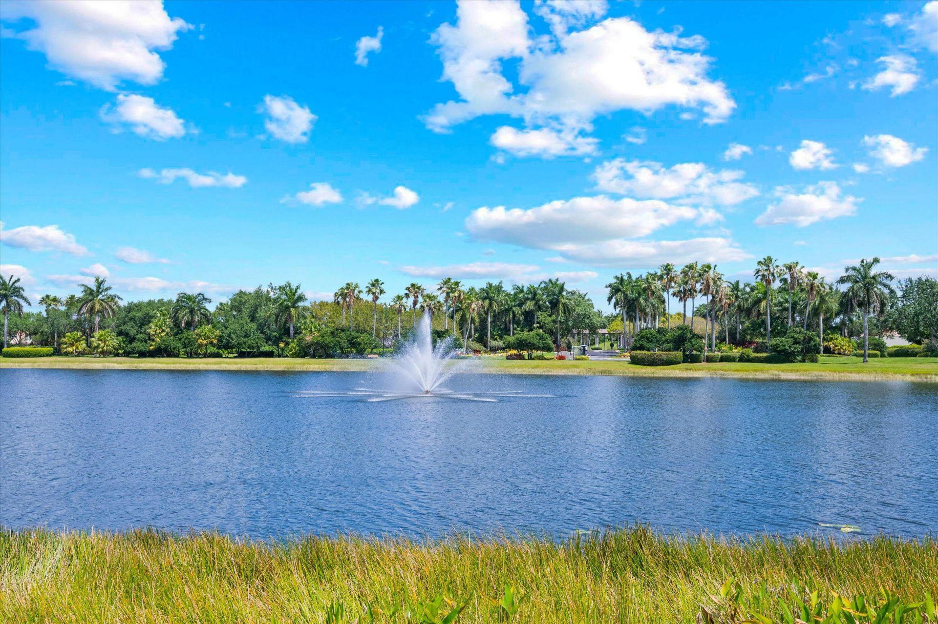 4221 Bluff Harbor Way, Wellington, FL 33449 Photo