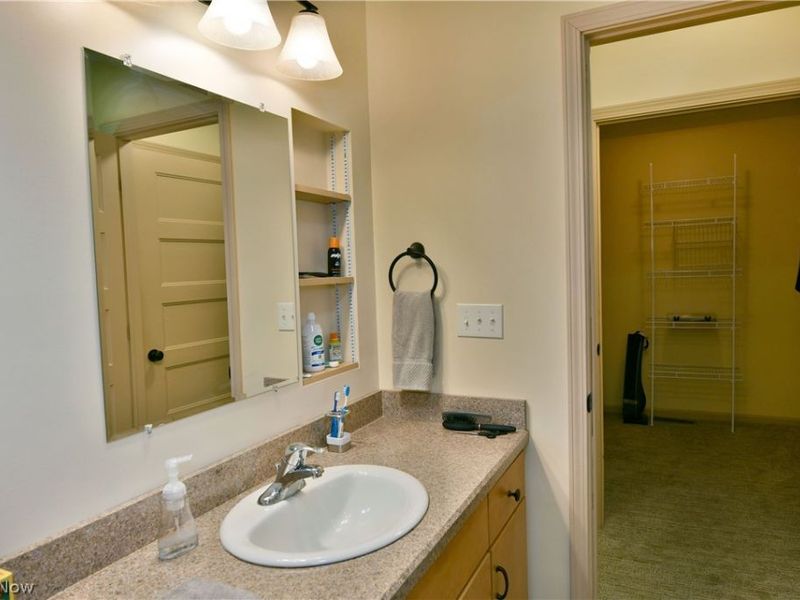 413 Maplewood Drive, Cortland, OH 44410 Photo 43
