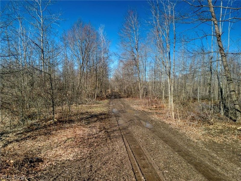 County Line Road , Madison, OH 44057 Photo 6