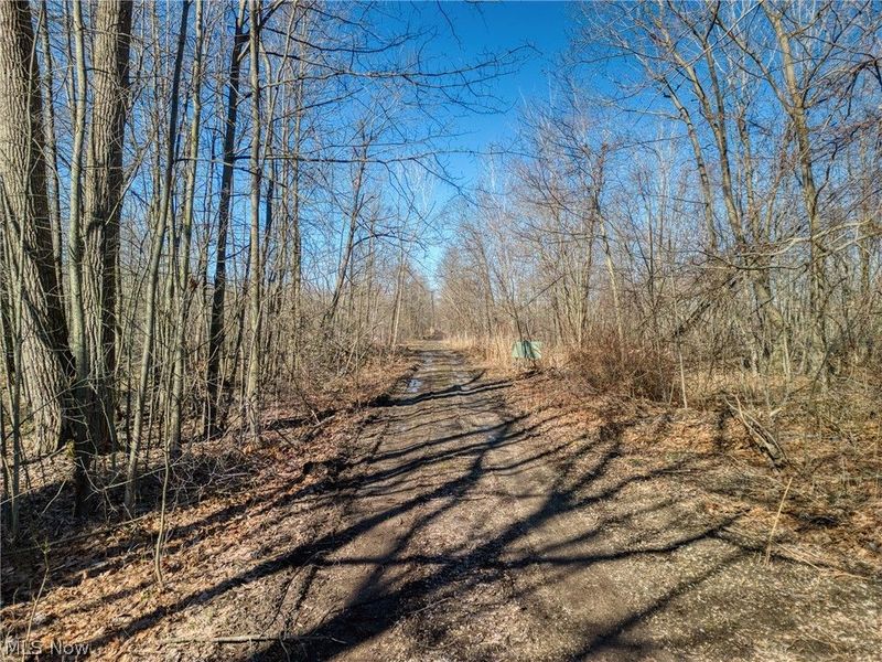County Line Road , Madison, OH 44057 Photo 7
