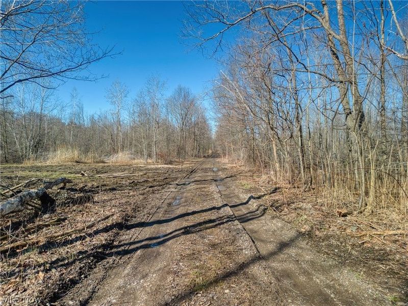 County Line Road , Madison, OH 44057 Photo 8