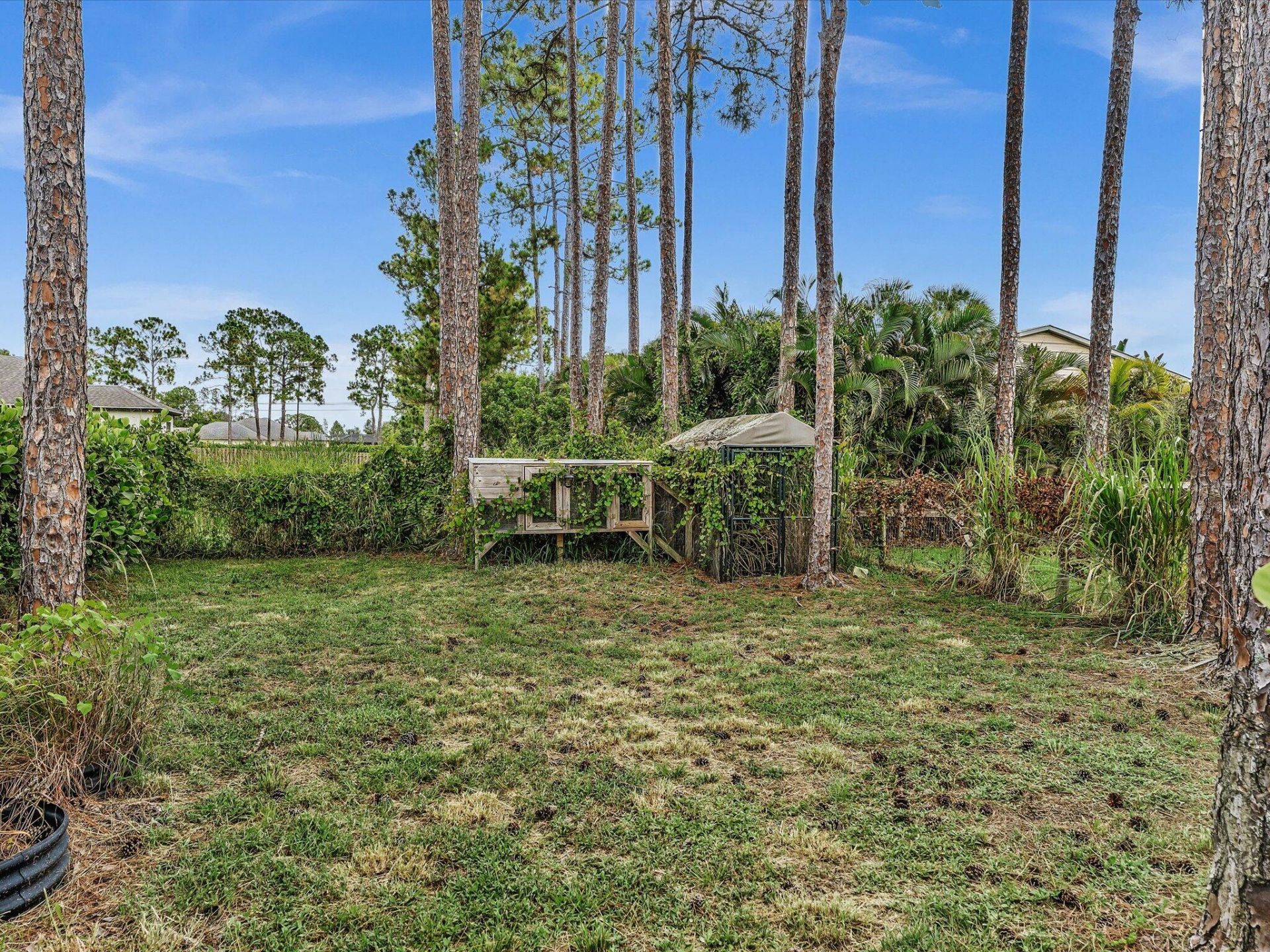 14566 Temple Boulevard, The Acreage, FL 33470 Photo