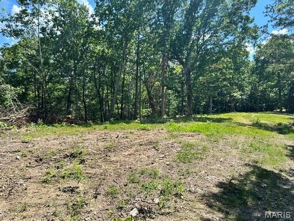 1 Forest Rd Banner-Belleview Road, Belleview, MO 63623