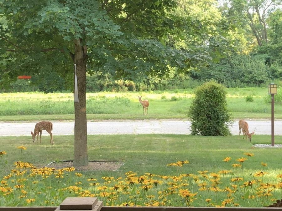 Property Image 5