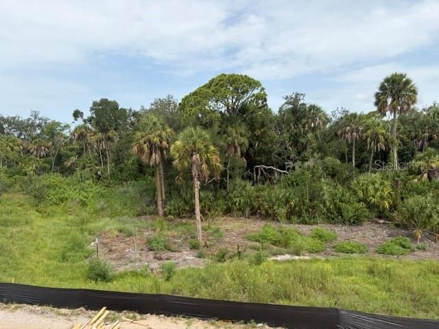 9927 Hidden Hammock Loop, Parrish, FL 34219 Photo