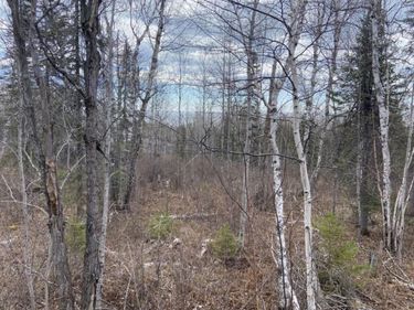000 Aspen Lane, Silver Bay, MN 55614