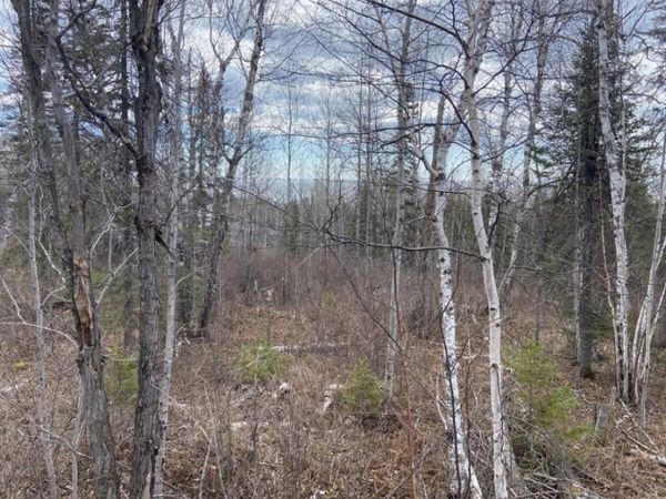 000 Aspen Lane, Silver Bay, MN 55614