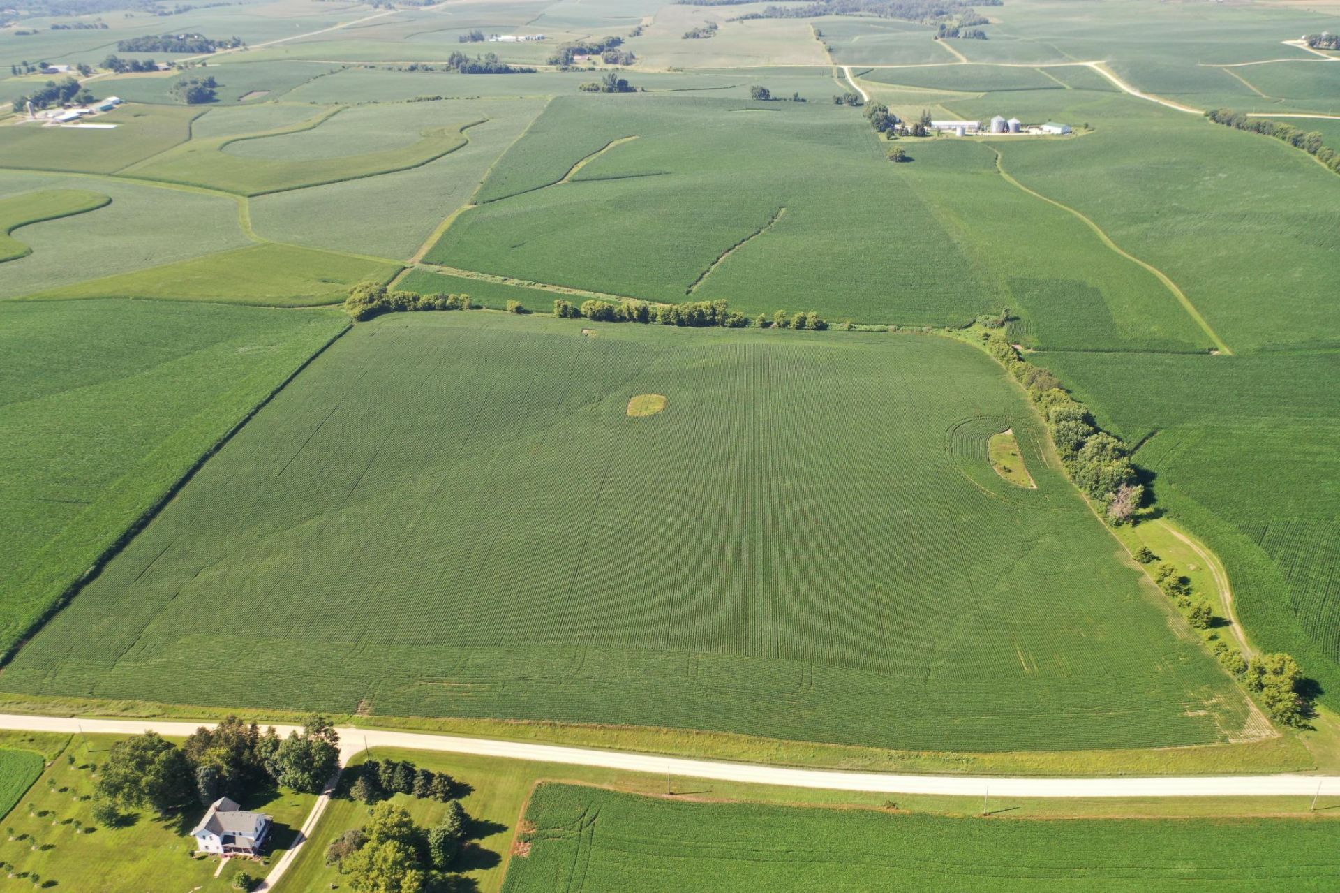 TBD 310th Avenue , Elgin, MN 55932