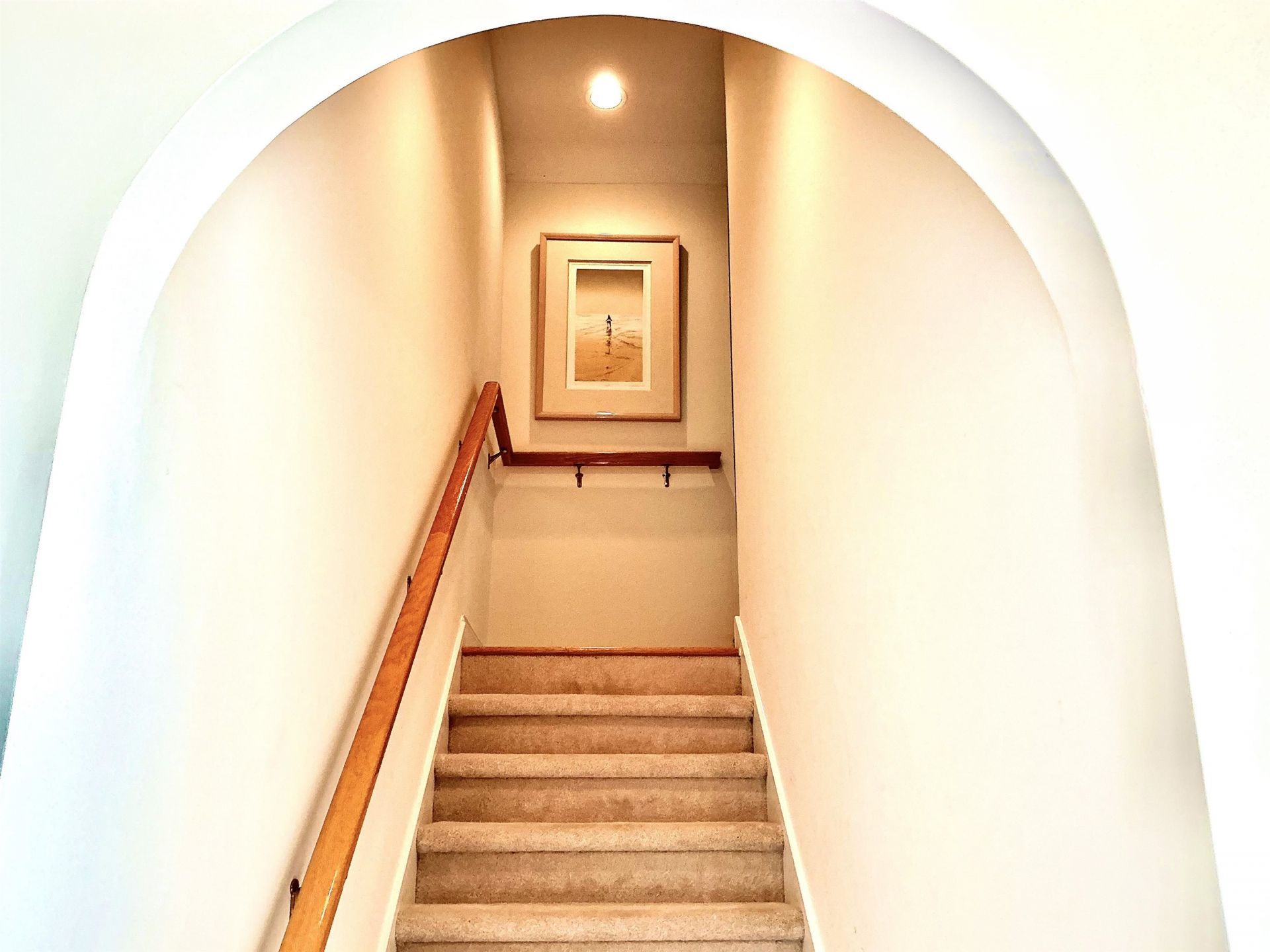 1516 Saint Thomas Circle Photo 7