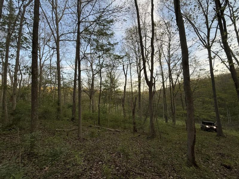 360 Day Hill Road, Foster, KY 41043 Photo 17