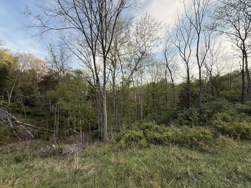 360 Day Hill Road, Foster, KY 41043 Photo 18