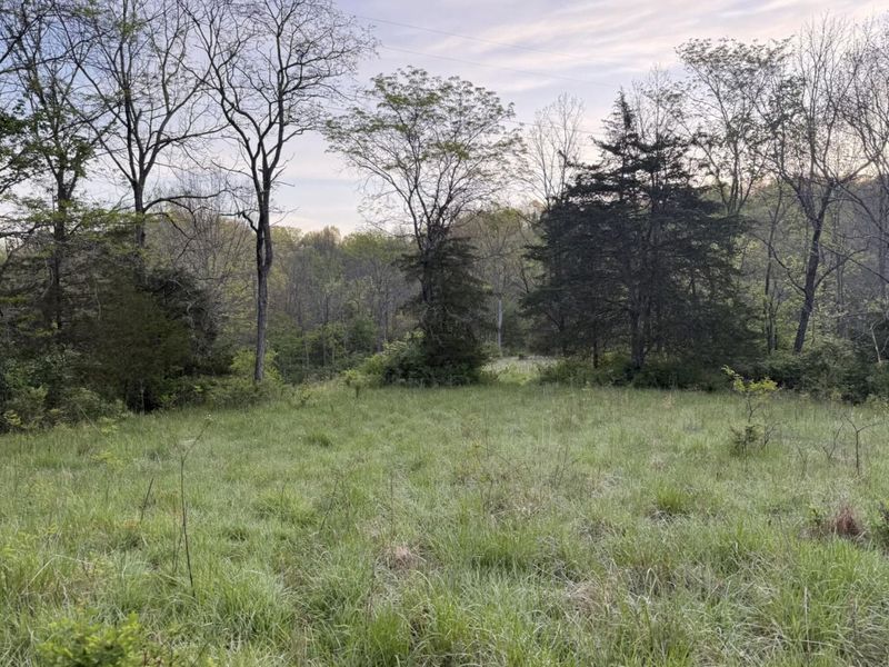 360 Day Hill Road, Foster, KY 41043 Photo 19