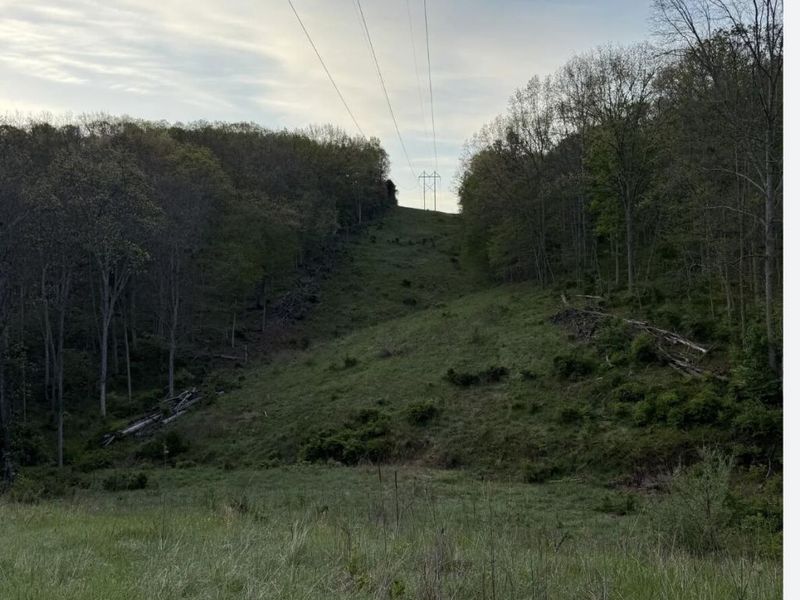 360 Day Hill Road, Foster, KY 41043 Photo 25