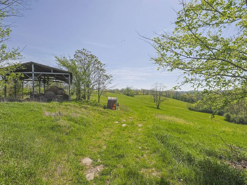 360 Day Hill Road, Foster, KY 41043 Photo 5