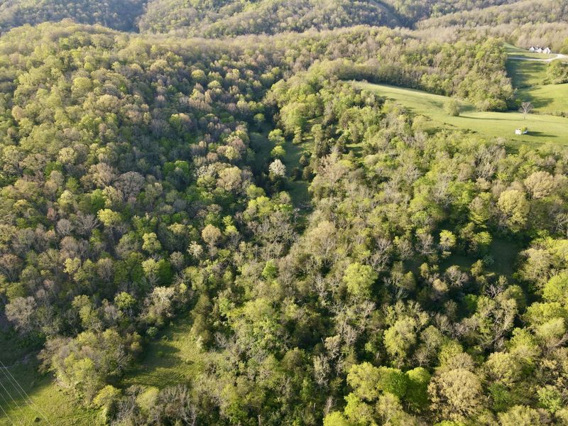 360 Day Hill Road, Foster, KY 41043 Photo 7