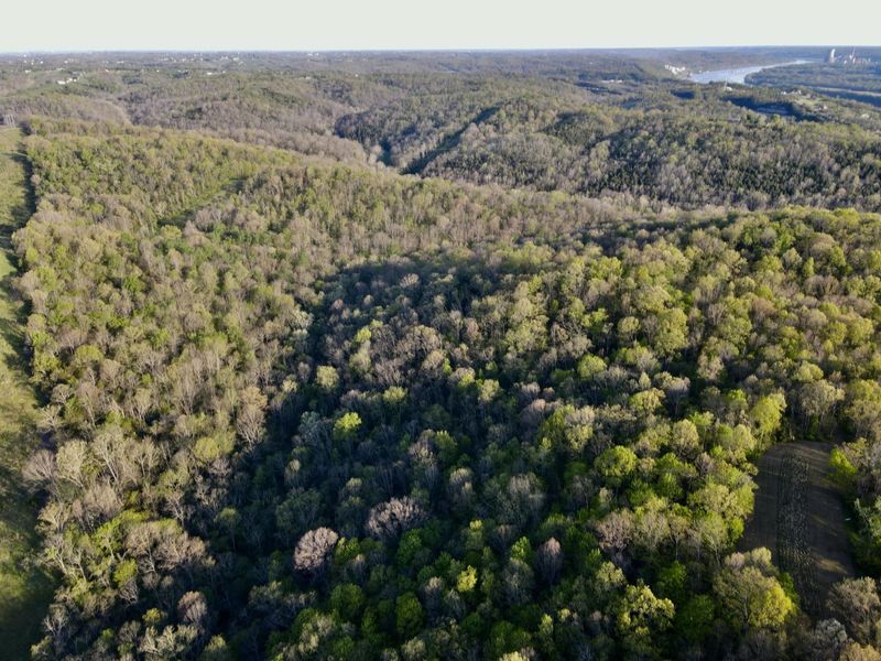 360 Day Hill Road, Foster, KY 41043 Photo 8
