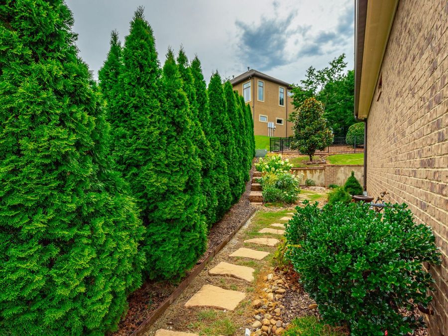 Property Image 51