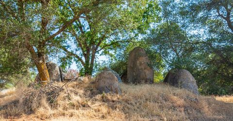 Brennans Rd, Newcastle, CA 95658 Photo