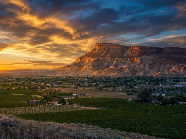 3770 Horse Mountain Road, Palisade, CO 81526
