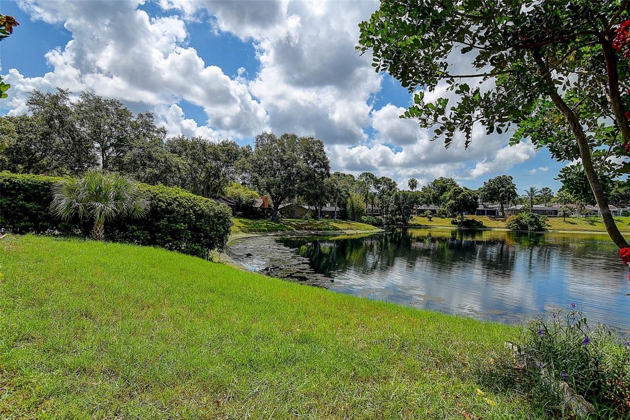 2876 Lake Valencia Boulevard E, Palm Harbor, FL 34684 Photo