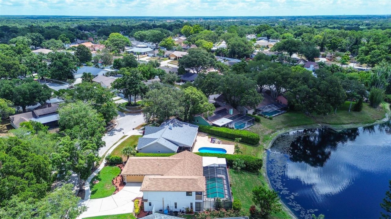 2876 Lake Valencia Boulevard E, Palm Harbor, FL 34684 Photo