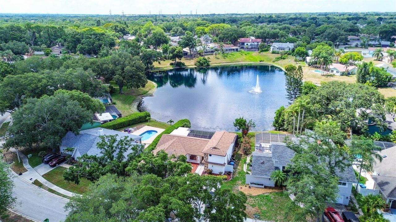 2876 Lake Valencia Boulevard E, Palm Harbor, FL 34684 Photo