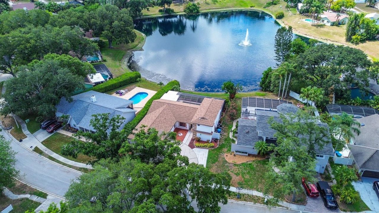 2876 Lake Valencia Boulevard E, Palm Harbor, FL 34684 Photo