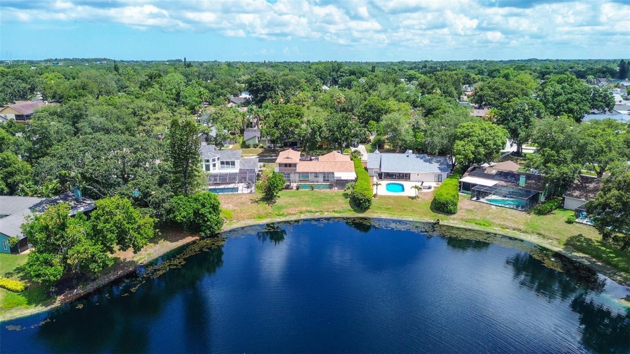 2876 Lake Valencia Boulevard E, Palm Harbor, FL 34684 Photo