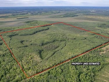 TBD XXX Digs Dr , Wright, MN 55798