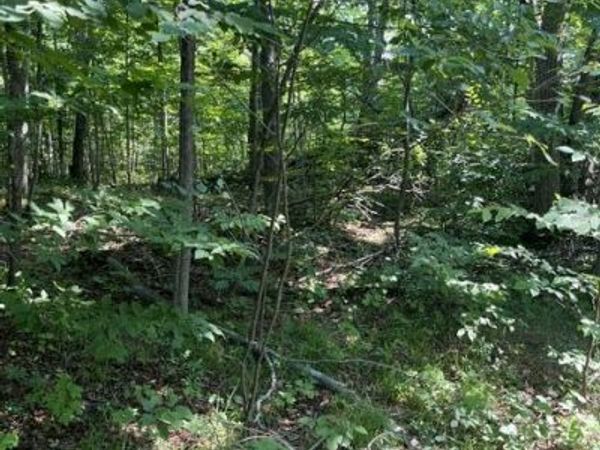 10 AC N Sherman Road, Frederic, MI 49733