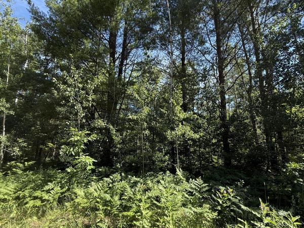 v/l 83&84 Okemos Trail, Gaylord, MI 49735