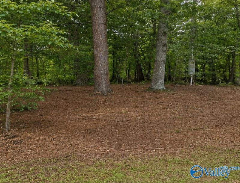 491 County Road # 65, Centre, AL 35960 Main Photo