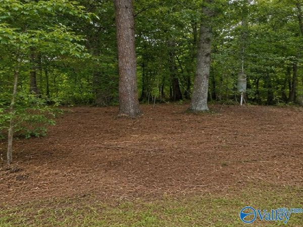 491 County Road # 65, Centre, AL 35960