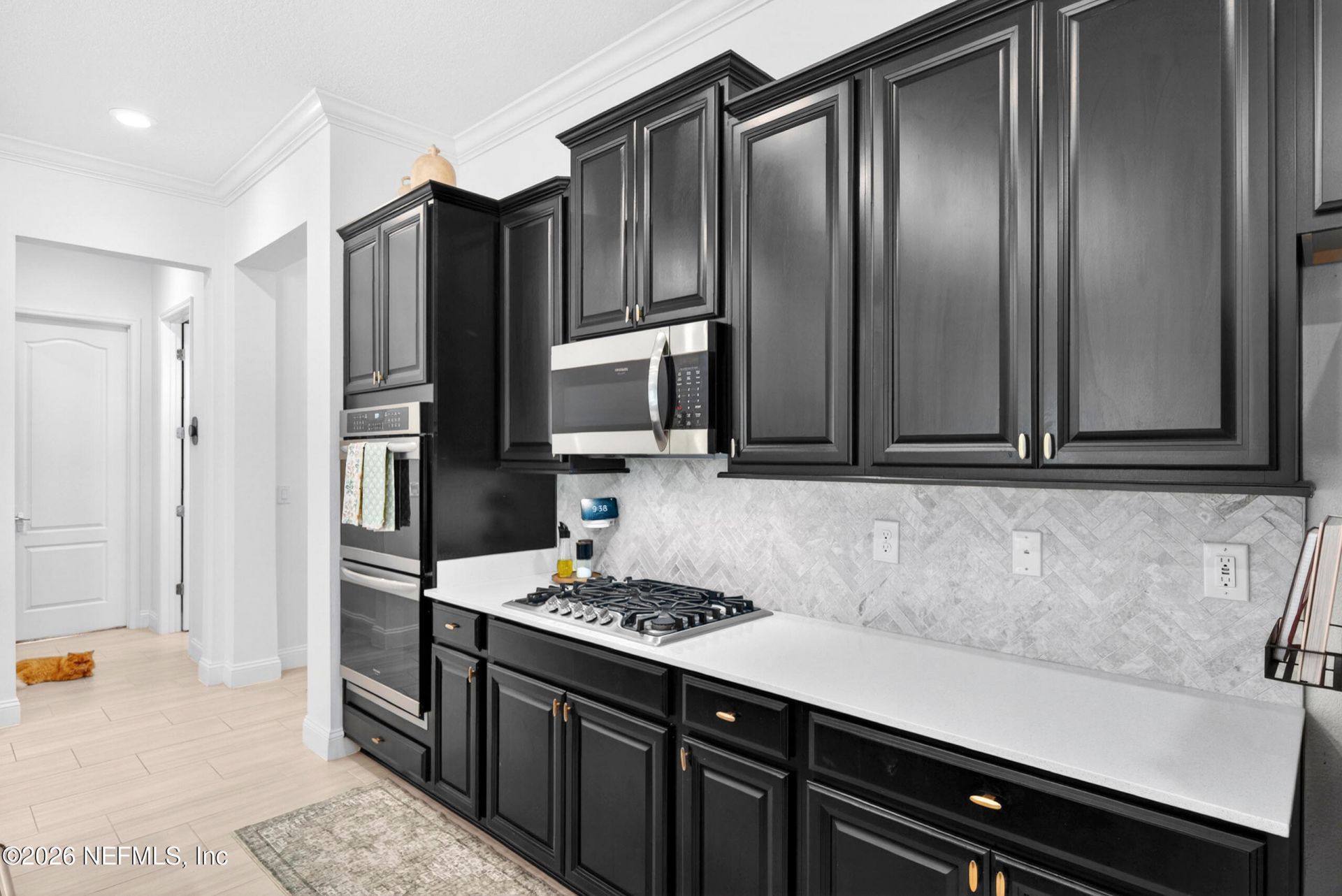 241 Dosel Lane, Saint Augustine, FL 32095 Photo