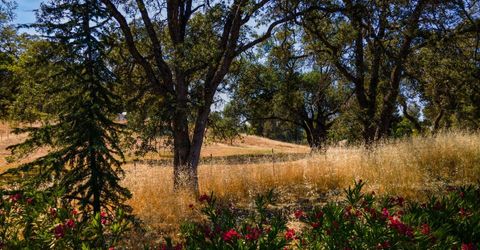 S Shingle Rd, Shingle Springs, CA 95682 Photo