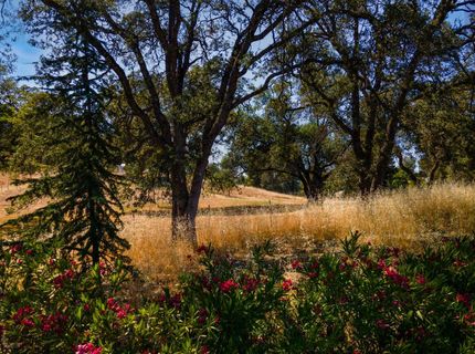 S Shingle Rd, Shingle Springs, CA 95682 Photo