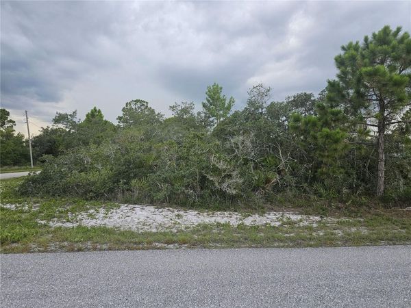 643 BUCCANEER STREET NW, LAKE PLACID, FL 33852