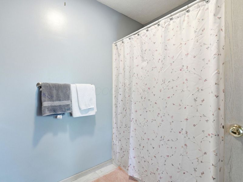 316 Jaguar Spur Avenue , Delaware, OH 43015 Photo 18