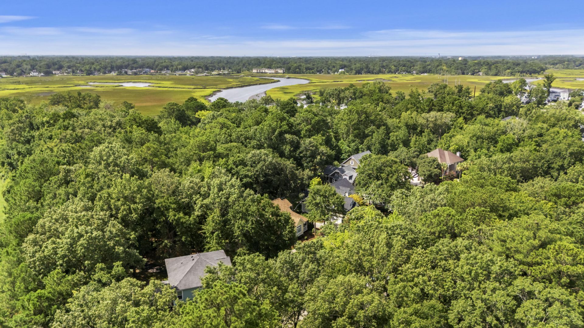 1005 Island Crossing Drive Photo 44