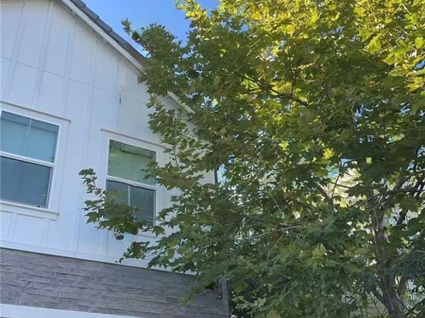 141 Wild Flower, Lake Forest, CA 92630