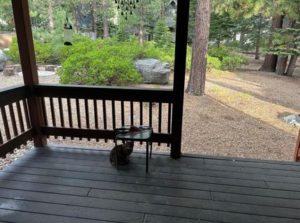 2127 Mewuk Dr, South Lake Tahoe, CA 96150 Photo