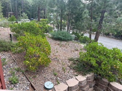 2127 Mewuk Dr, South Lake Tahoe, CA 96150 Photo